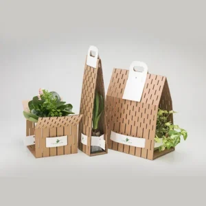 Custom Die Cut Boxes