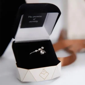 Jewelry Display Boxes