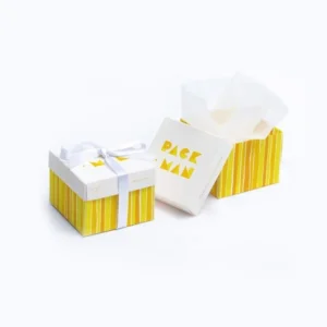 Party Favor Boxes