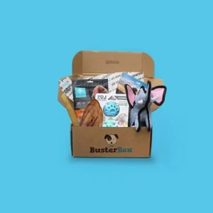 Pet Subscription Boxes