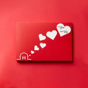 Valentines Day Boxes
